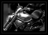 IMG_0692-copy.jpg