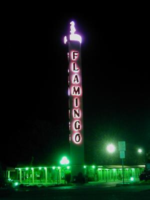 Flamingo Lights -Santa Rosa