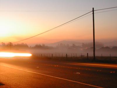 Stony Point Mornings