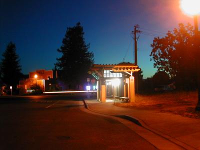 Cotati Busses