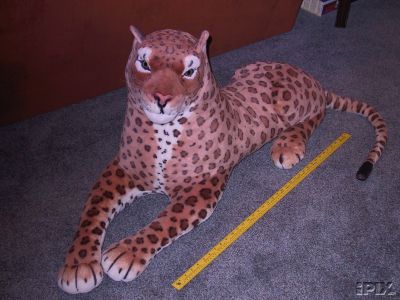 my big leopard