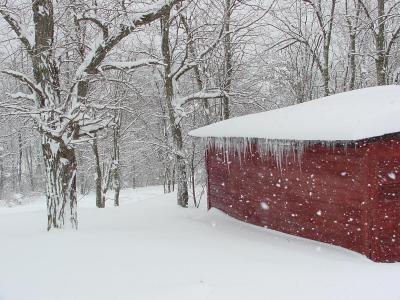 4jan7.jpg