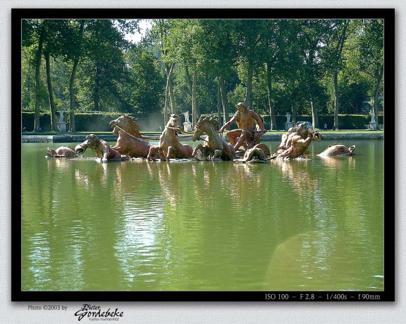 Rising above water (Versailles Gardens)