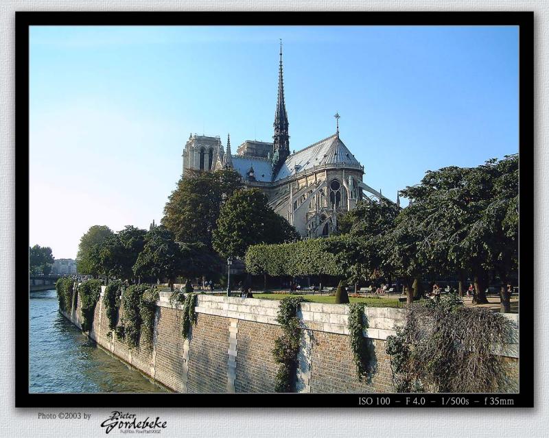 Notre Dame (seen from behind)