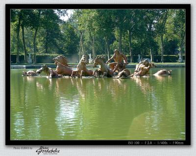 Rising above water (Versailles Gardens)
