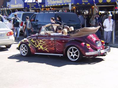 P7123509a.jpg