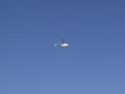 P7123515a.jpg