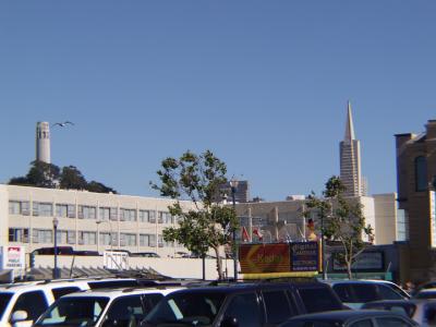 P7123520a.jpg