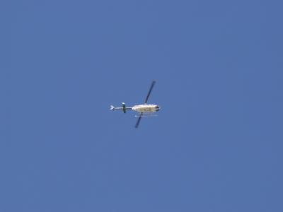 P7123525a.jpg
