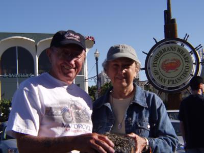 P7123532a.jpg