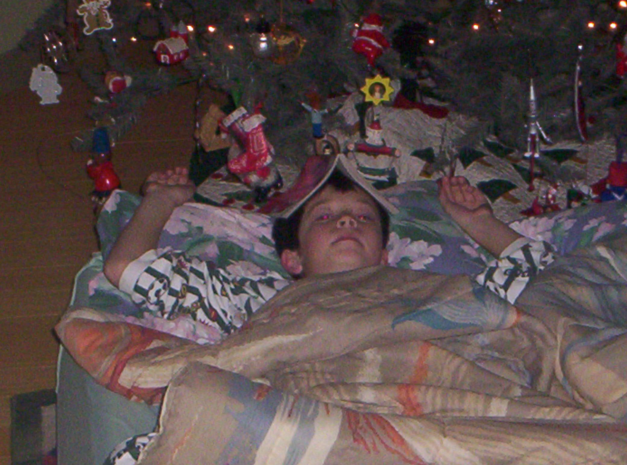 100_9593.JPG