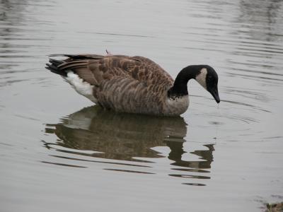 DSCN0784.JPG