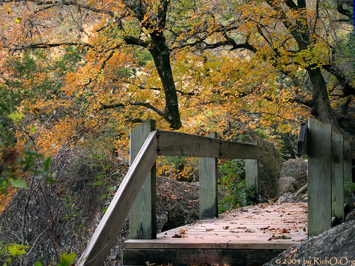 Bridge Over Fall