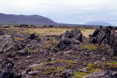 Lava field near Hverfell crater