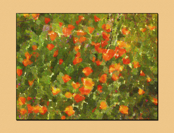Painted flowers