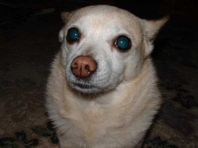 u22/rsweatt/medium/13820502.sandy1.jpg