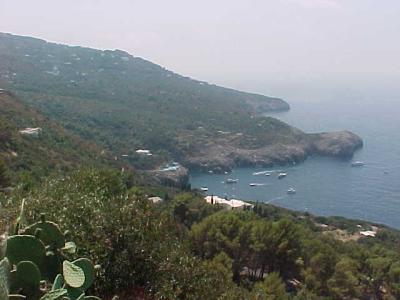 View of Capri 3.JPG