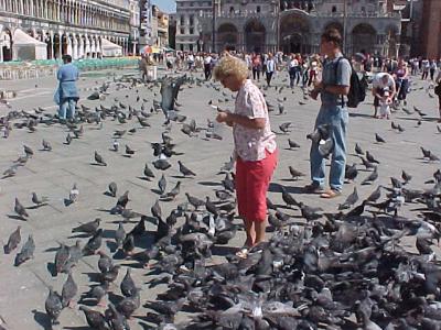 Deb Birds 2.JPG