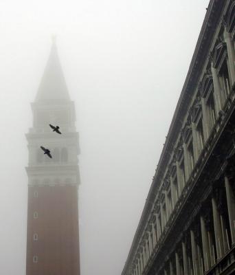 Venice 32