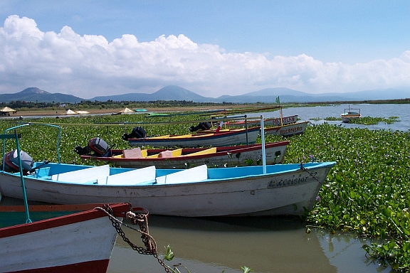 Tour boats