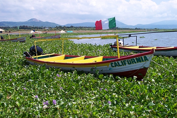 Mexican Registry