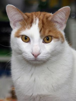 fuzzy-portrait2.jpg