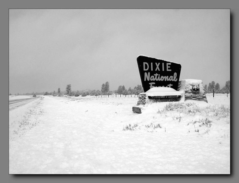 Dixie Nat. Forest
