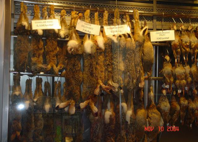 las ramblas2.JPG