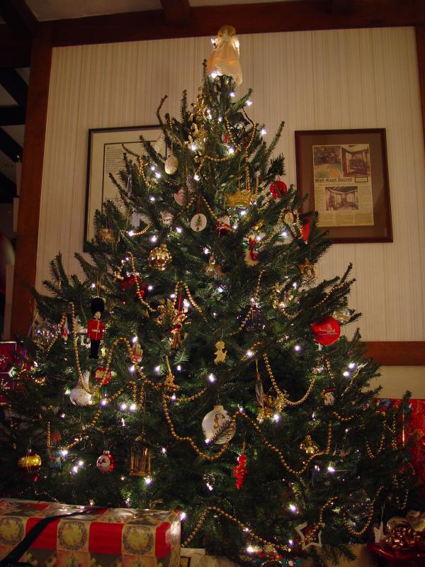 O Christmas Tree <br> by K Miller