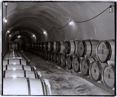 Cavern Of Vinoby David Cappello