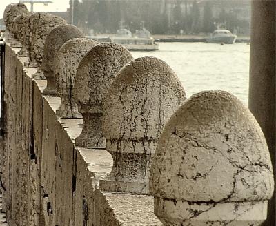  The Newells of San Marco by Loren Charif  