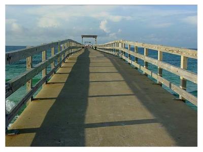 Fishing Pier by florg