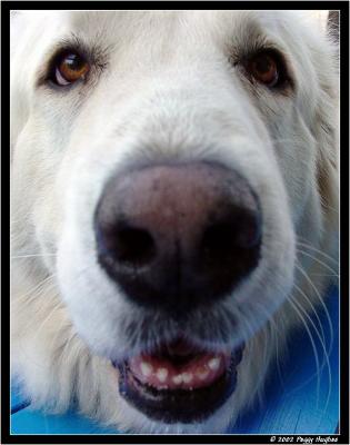 pyr spective! by Peggy