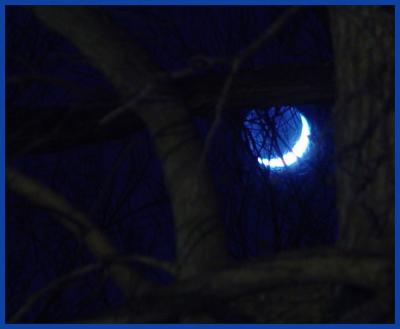 Blue Moon? by JB707