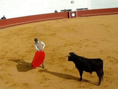 Sol y Sombra* by Doris Baillet