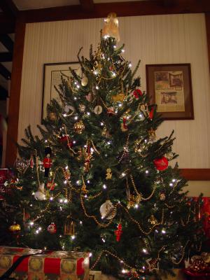O Christmas Tree  by K Miller