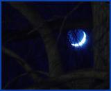 <br>Blue Moon?</br> <br>by JB707</br>
