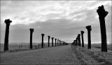 <p align=center> <b> waiting for spring</b> <br> <font size=1> by Hewy