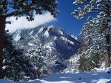 <b>Framed By Shadows And Trees</b><br><font size=2>by <br>Lisa Young</font>
