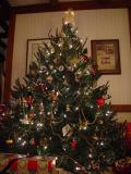 O Christmas Tree <br> by K Miller