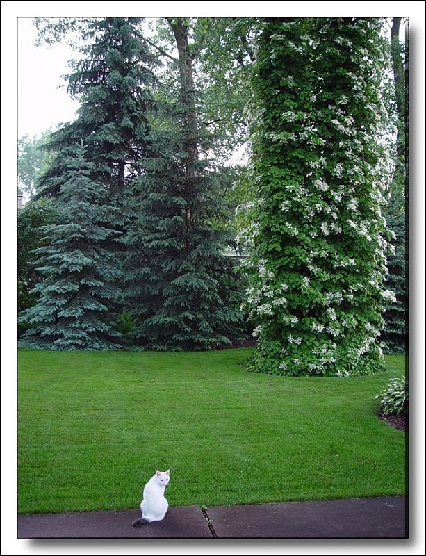 <b>Its Too Big!</b><br><font size=1>by Bev Brink</font>
