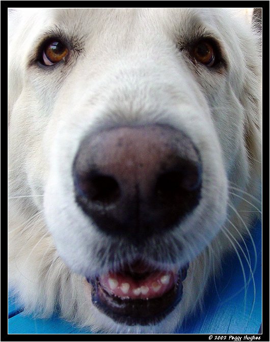 pyr spective! by Peggy