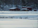 DSC02787.jpg