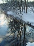 DSC02789.jpg