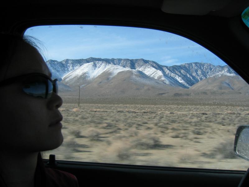 Shannon on the road to nowhere