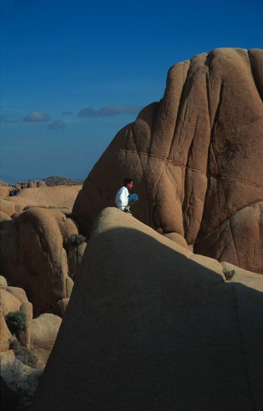 Joshua Tree National Park