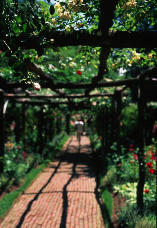 Old Westbury Gardens fuzzy walk