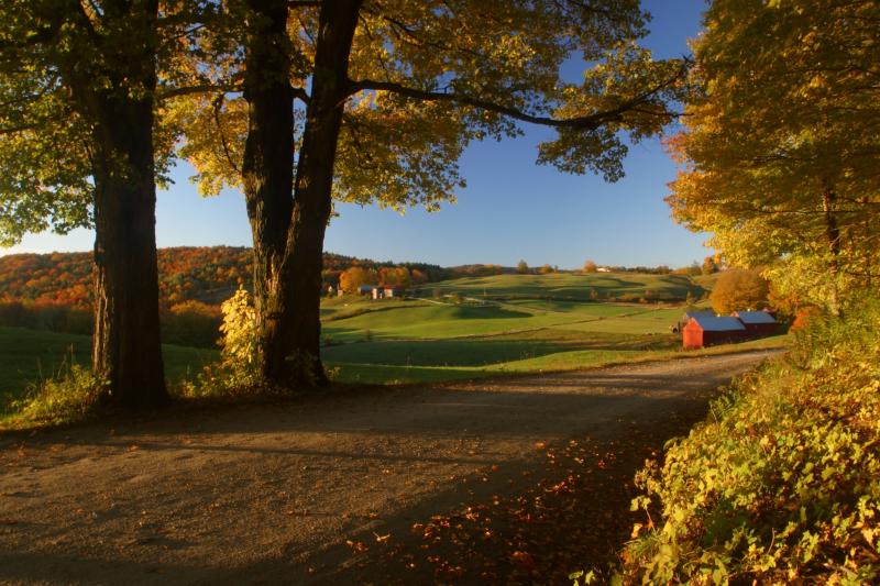 Jenne Farm