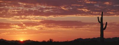 Arizona Sunrise