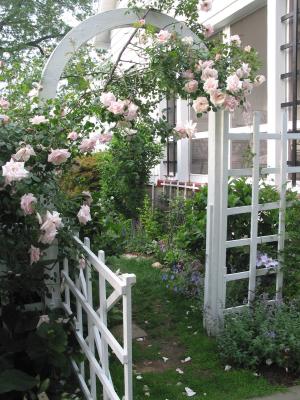 My Rose Arbor